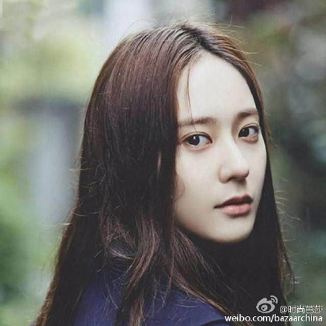 蛇蝎档案